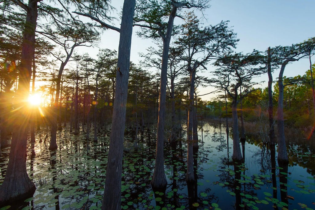 46 of 47 - 20 Cypress Walk, Santa Rosa Beach, FL