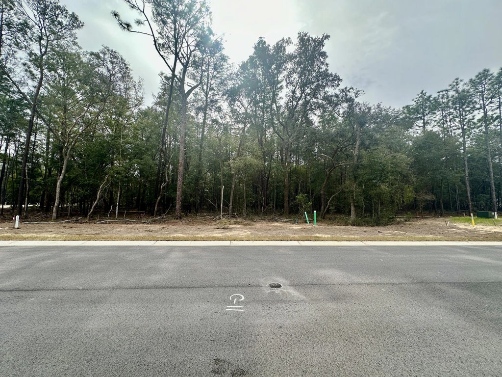 3 of 10 - 321 Gazelle Court, Niceville, FL