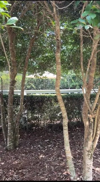 6 of 6 - 23 Grizzly Street, Freeport, FL