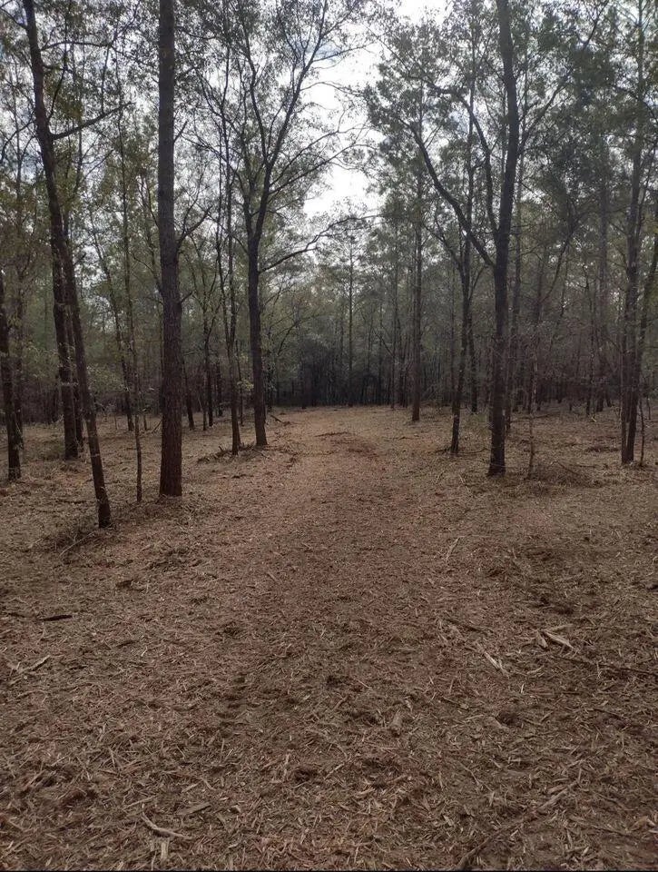 10 of 23 - 000 Ponderosa Lane, Crestview, FL