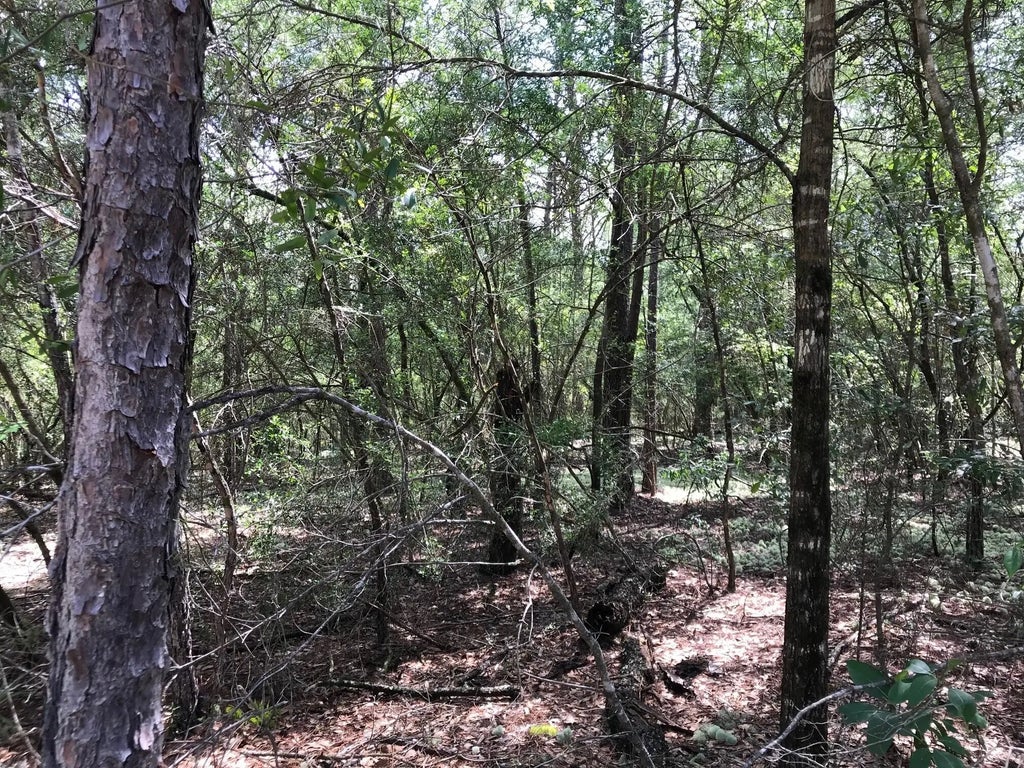 16 of 23 - 000 Ponderosa Lane, Crestview, FL