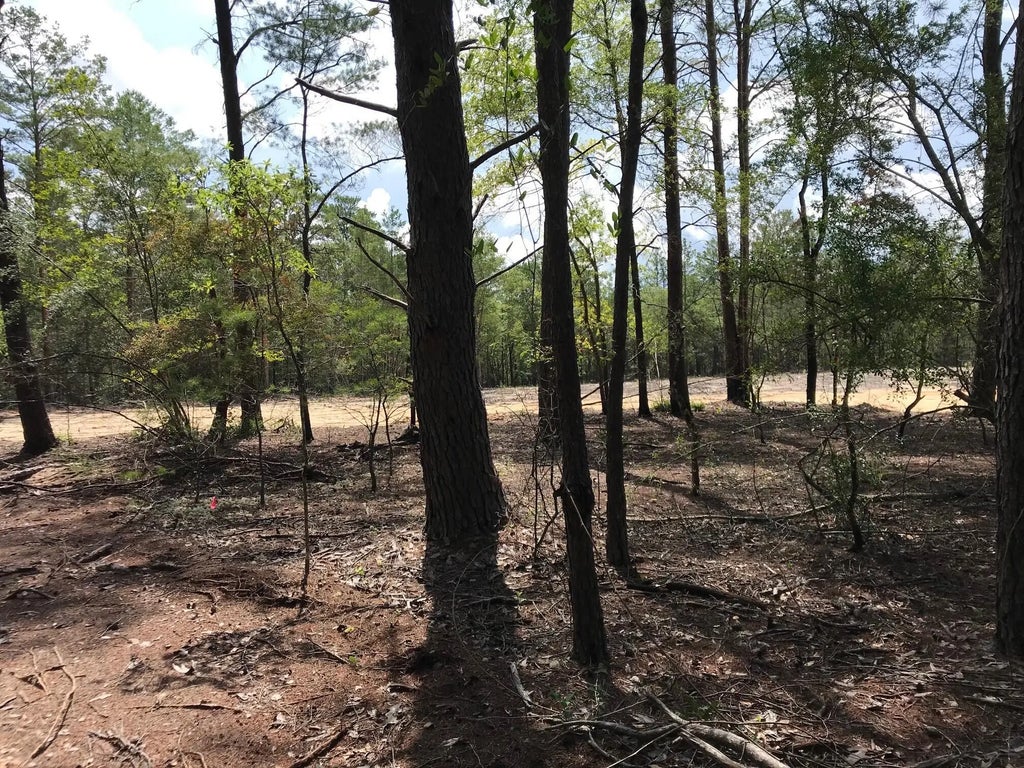 17 of 23 - 000 Ponderosa Lane, Crestview, FL