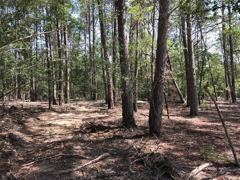 18 of 23 - 000 Ponderosa Lane, Crestview, FL