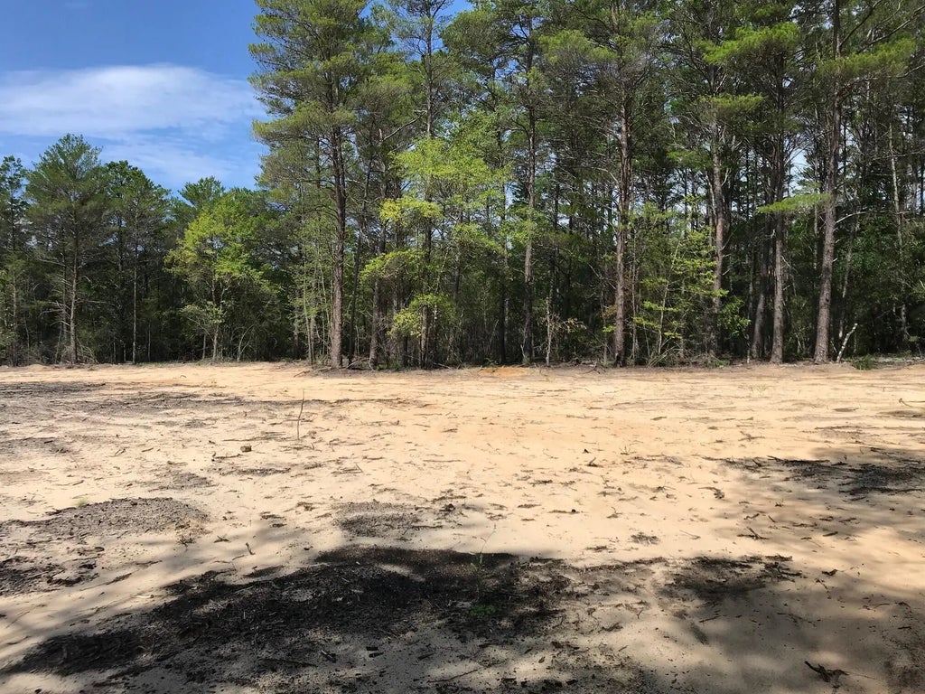 19 of 23 - 000 Ponderosa Lane, Crestview, FL