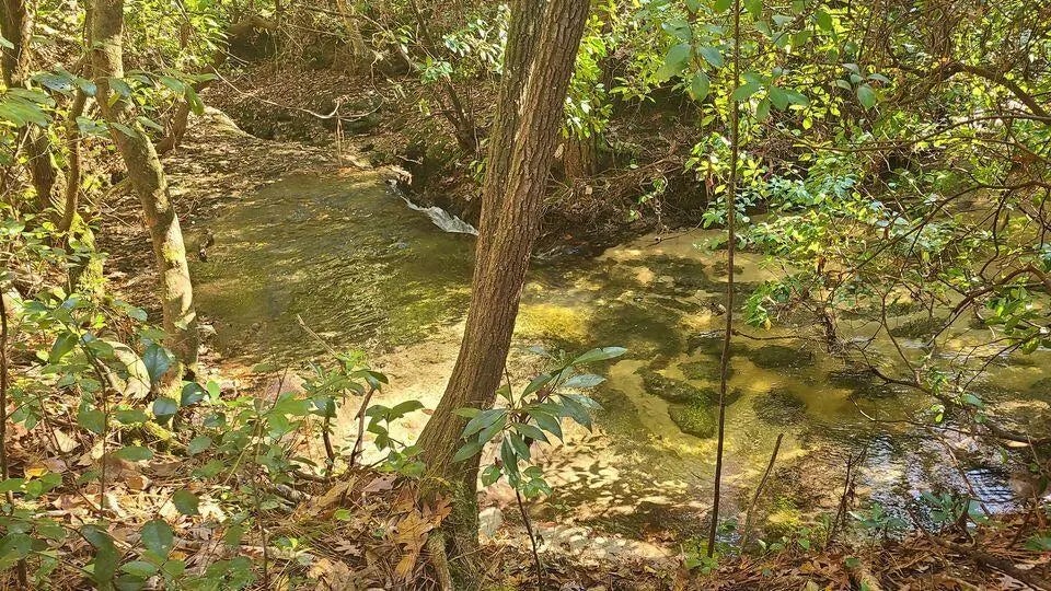 2 of 23 - 000 Ponderosa Lane, Crestview, FL