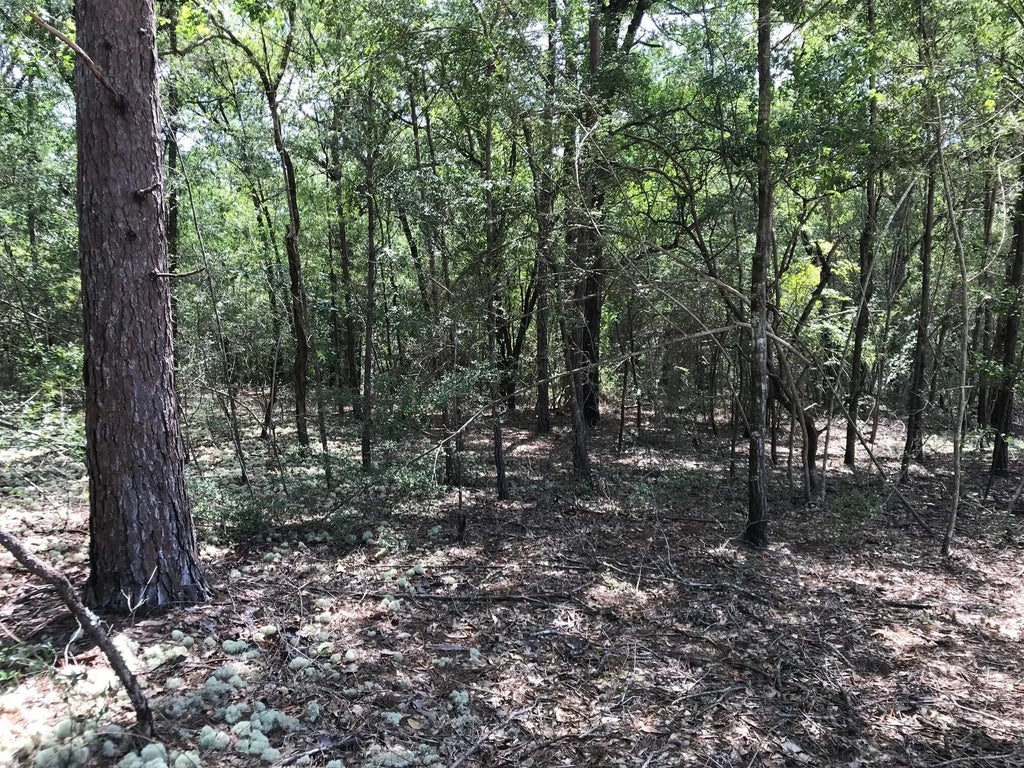 20 of 23 - 000 Ponderosa Lane, Crestview, FL