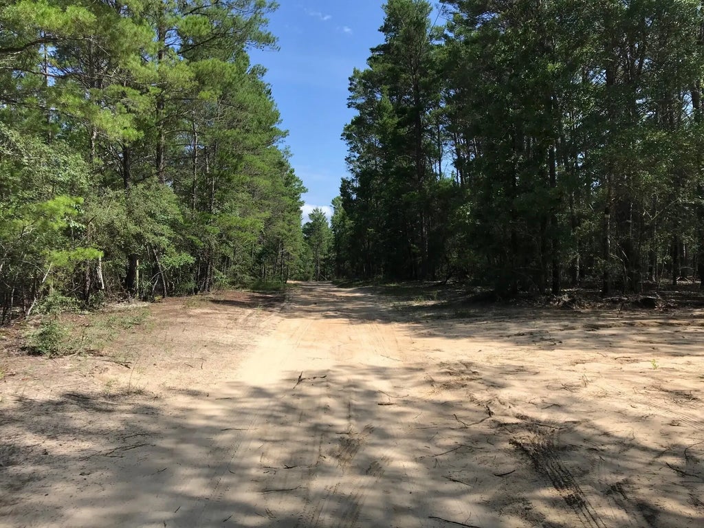 22 of 23 - 000 Ponderosa Lane, Crestview, FL