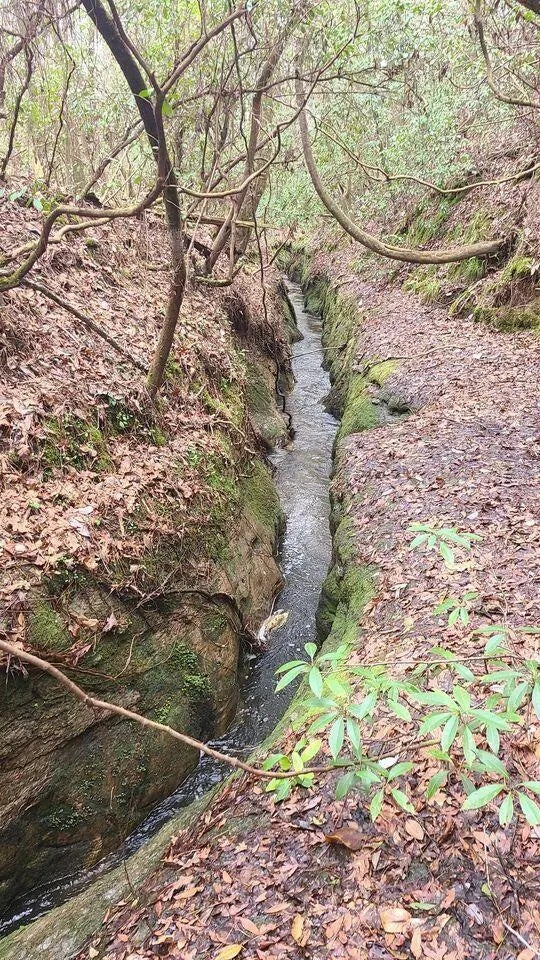 3 of 23 - 000 Ponderosa Lane, Crestview, FL