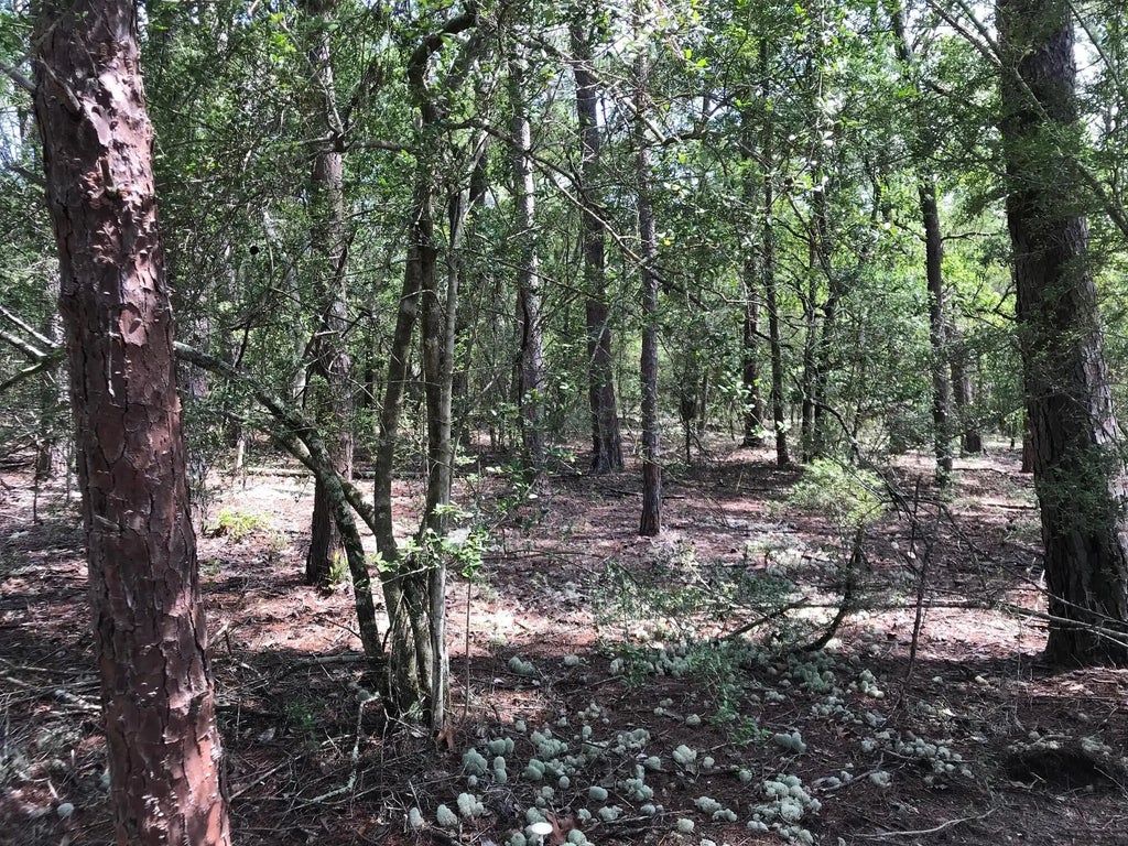 4 of 23 - 000 Ponderosa Lane, Crestview, FL