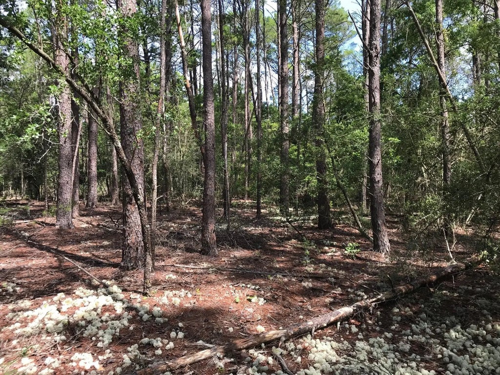 5 of 23 - 000 Ponderosa Lane, Crestview, FL