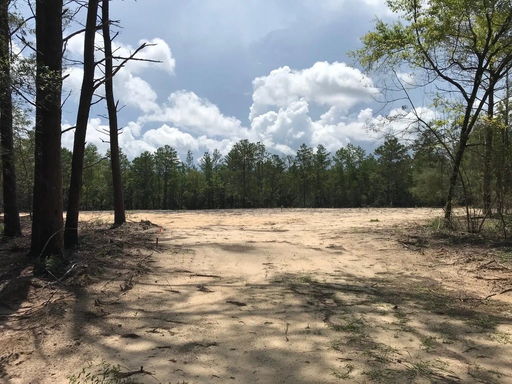 6 of 23 - 000 Ponderosa Lane, Crestview, FL