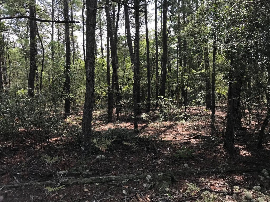 7 of 23 - 000 Ponderosa Lane, Crestview, FL