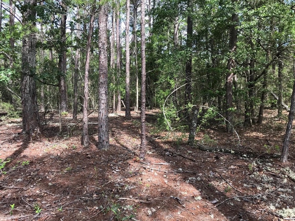 8 of 23 - 000 Ponderosa Lane, Crestview, FL