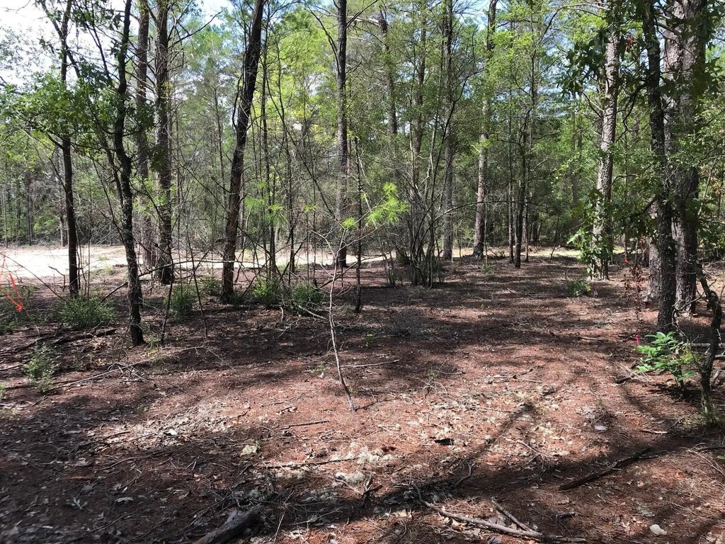 9 of 23 - 000 Ponderosa Lane, Crestview, FL