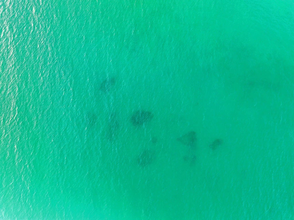 93 of 97 - 409 Coopersmith Lane, Inlet Beach, FL