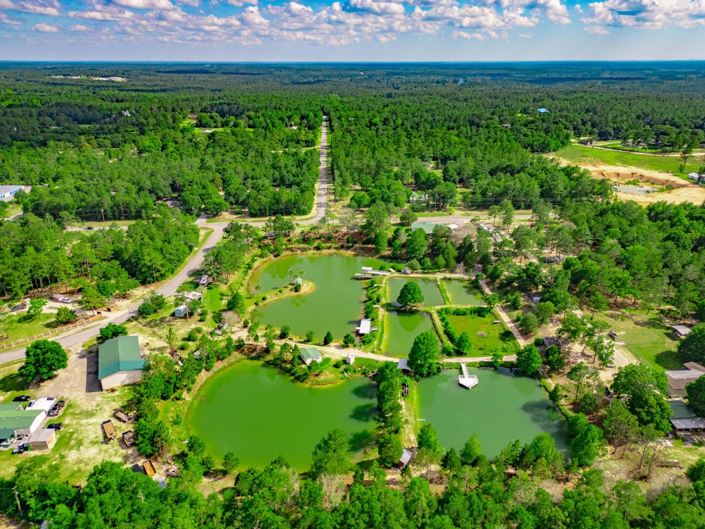 7 of 33 - 6291 Coy Burgess Loop, DeFuniak Springs, FL