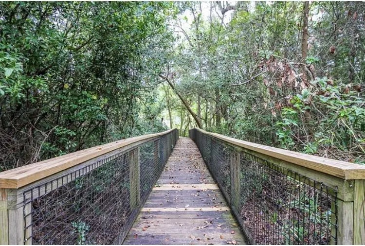 71 of 74 - 446 Mango Lane, Freeport, FL