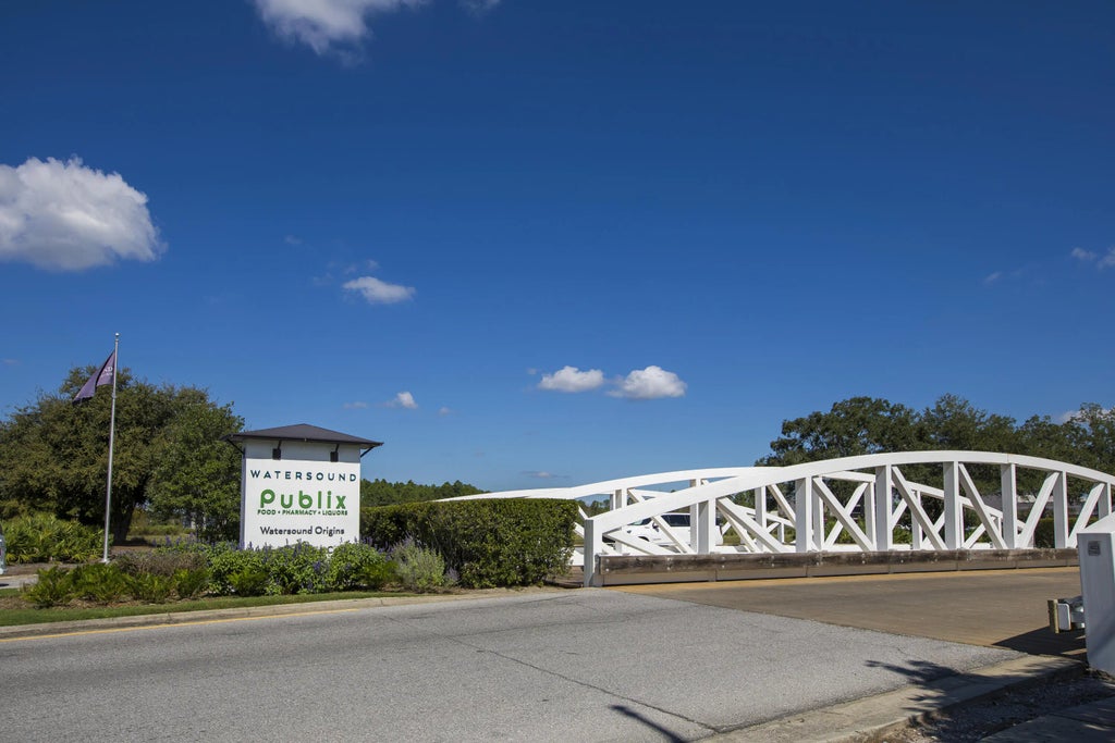 58 of 87 - 417 Pollard Cove East Street Lot 101, Watersound, FL