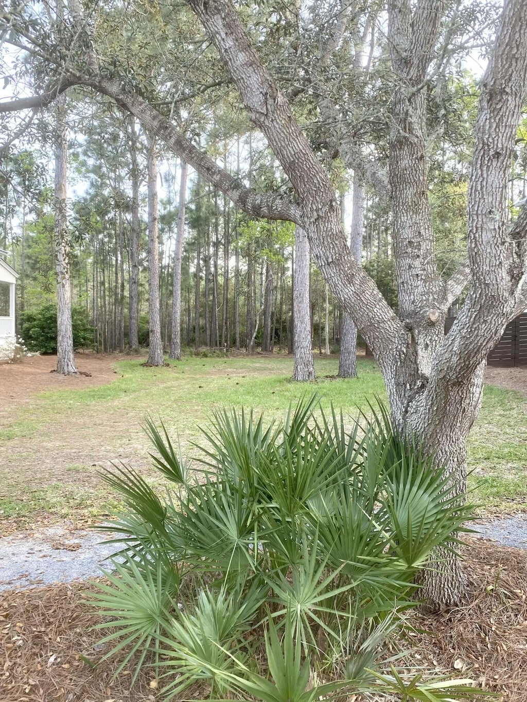 10 of 11 - Lot 32 Marlberry Trace, Santa Rosa Beach, FL