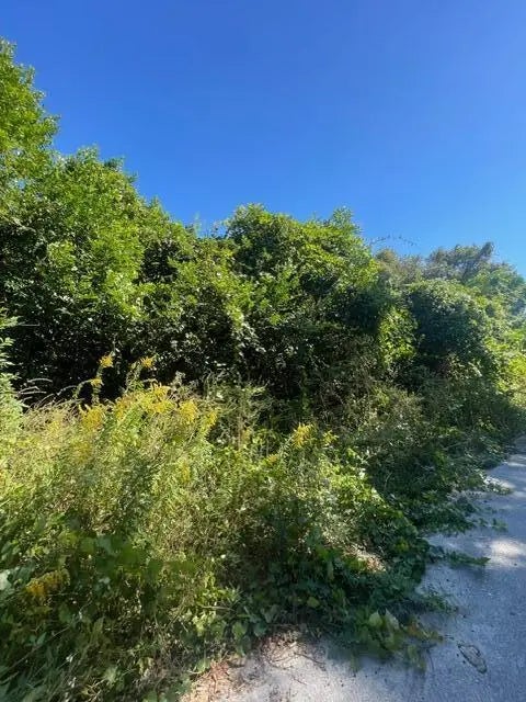 2 of 8 - 986 Harris Avenue, Panama City, FL