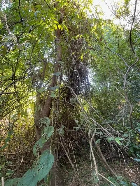 4 of 8 - 986 Harris Avenue, Panama City, FL