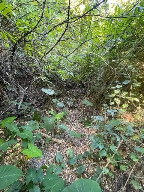 5 of 8 - 986 Harris Avenue, Panama City, FL