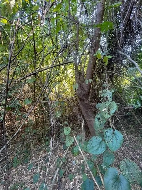 6 of 8 - 986 Harris Avenue, Panama City, FL