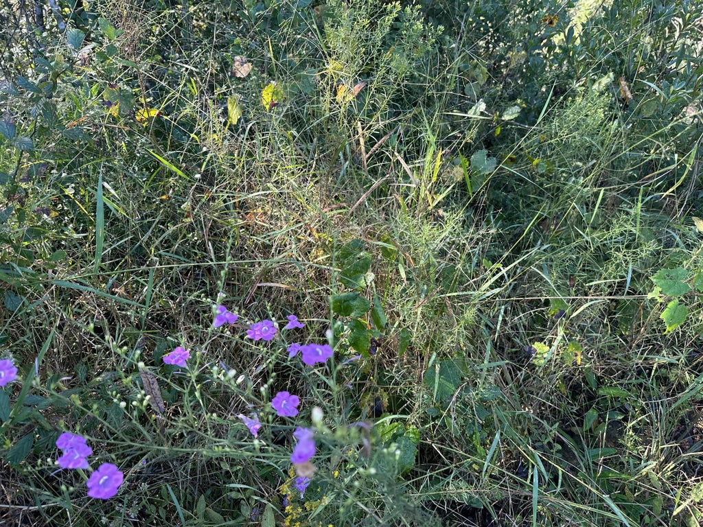 4 of 9 - Parcel K&l Buck Tyner Road, Laurel Hill, FL