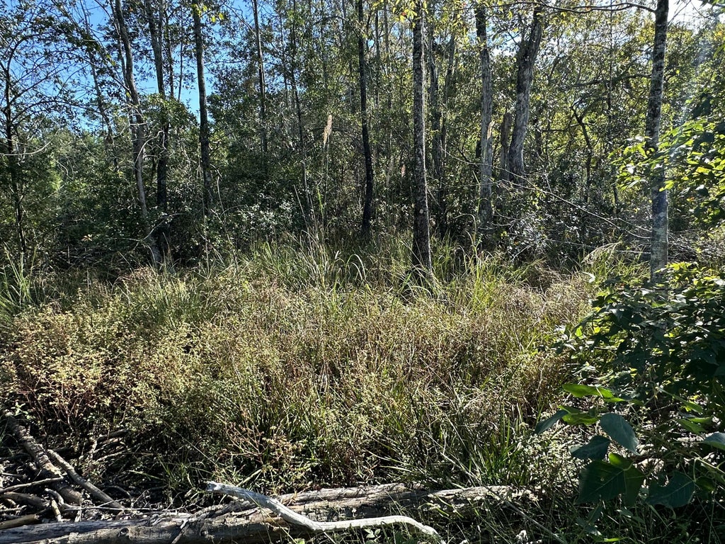 7 of 9 - Parcel K&l Buck Tyner Road, Laurel Hill, FL