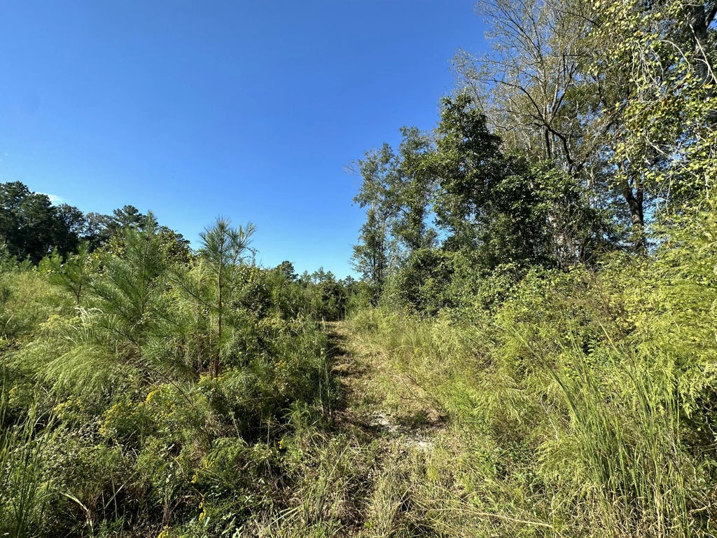 8 of 9 - Parcel K&l Buck Tyner Road, Laurel Hill, FL