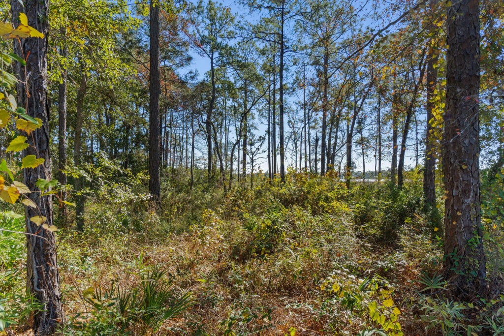 29 of 29 - Lot 18 Bayside Drive, Freeport, FL