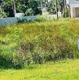 Photo of Listing #965014