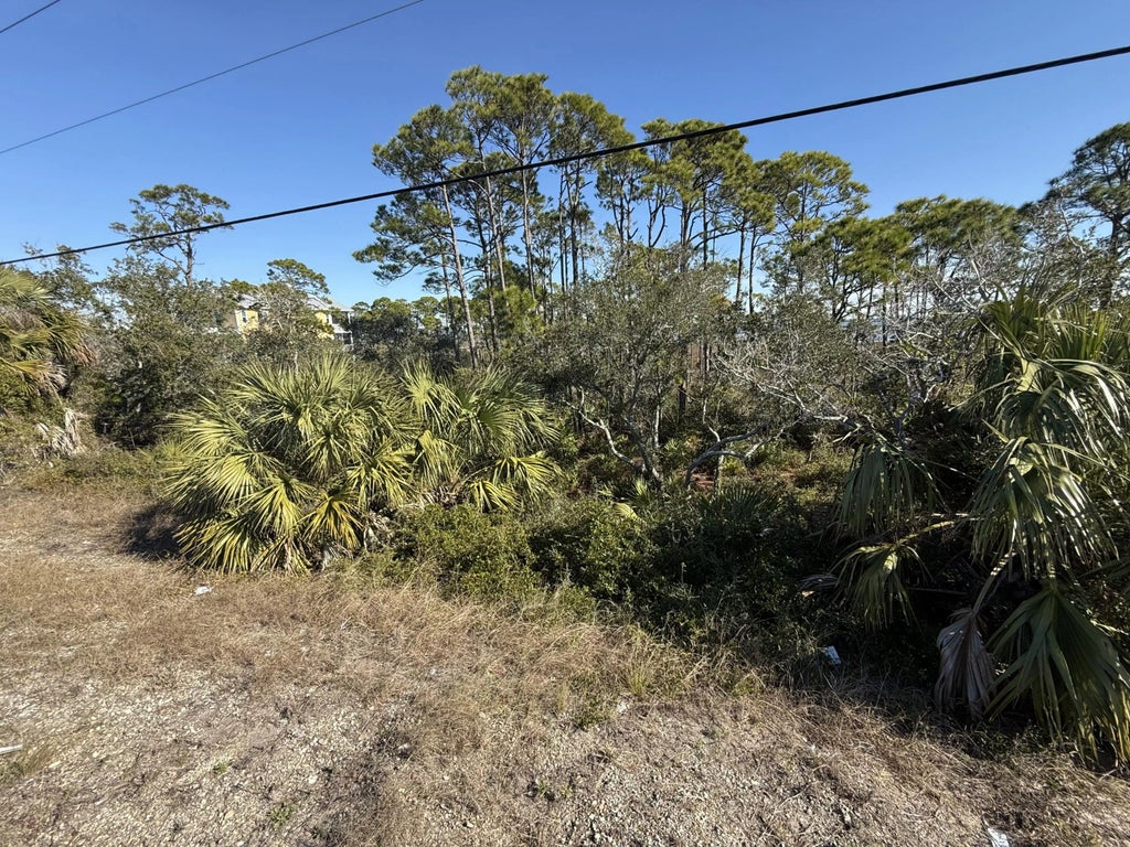 11 of 14 - Lot 6 Cape San Blas Rd, Cape San Blas, FL