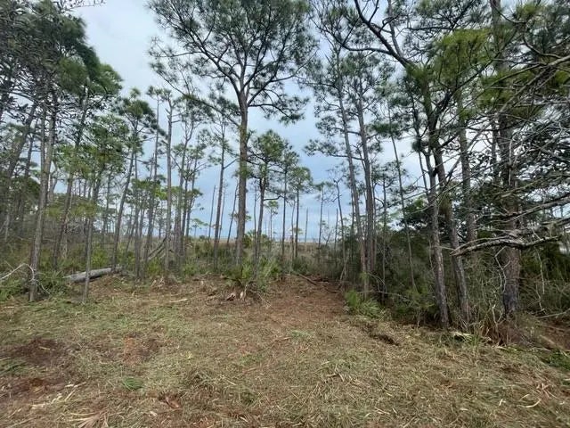 2 of 14 - Lot 6 Cape San Blas Rd, Cape San Blas, FL
