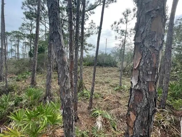 4 of 14 - Lot 6 Cape San Blas Rd, Cape San Blas, FL