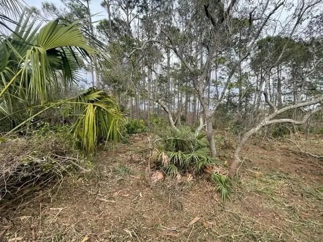 5 of 14 - Lot 6 Cape San Blas Rd, Cape San Blas, FL