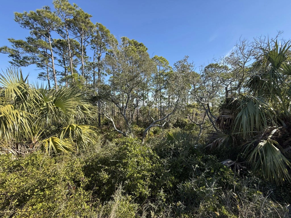 6 of 14 - Lot 6 Cape San Blas Rd, Cape San Blas, FL
