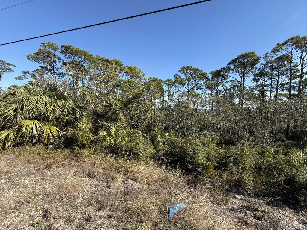 7 of 14 - Lot 6 Cape San Blas Rd, Cape San Blas, FL