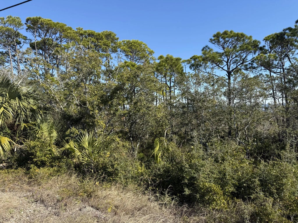 8 of 14 - Lot 6 Cape San Blas Rd, Cape San Blas, FL