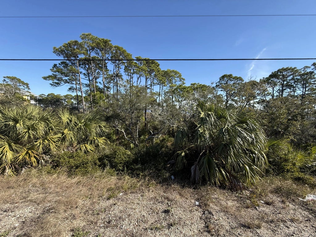 9 of 14 - Lot 6 Cape San Blas Rd, Cape San Blas, FL