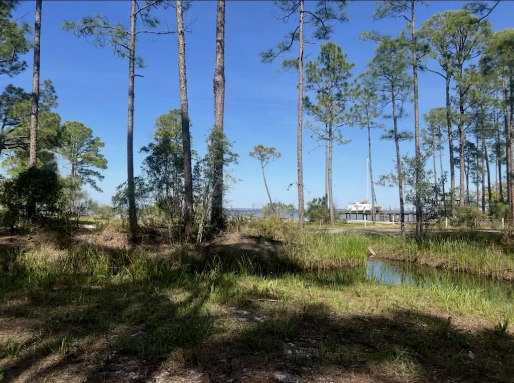 2 of 9 - Lot 4 Whisper Lane, Santa Rosa Beach, FL