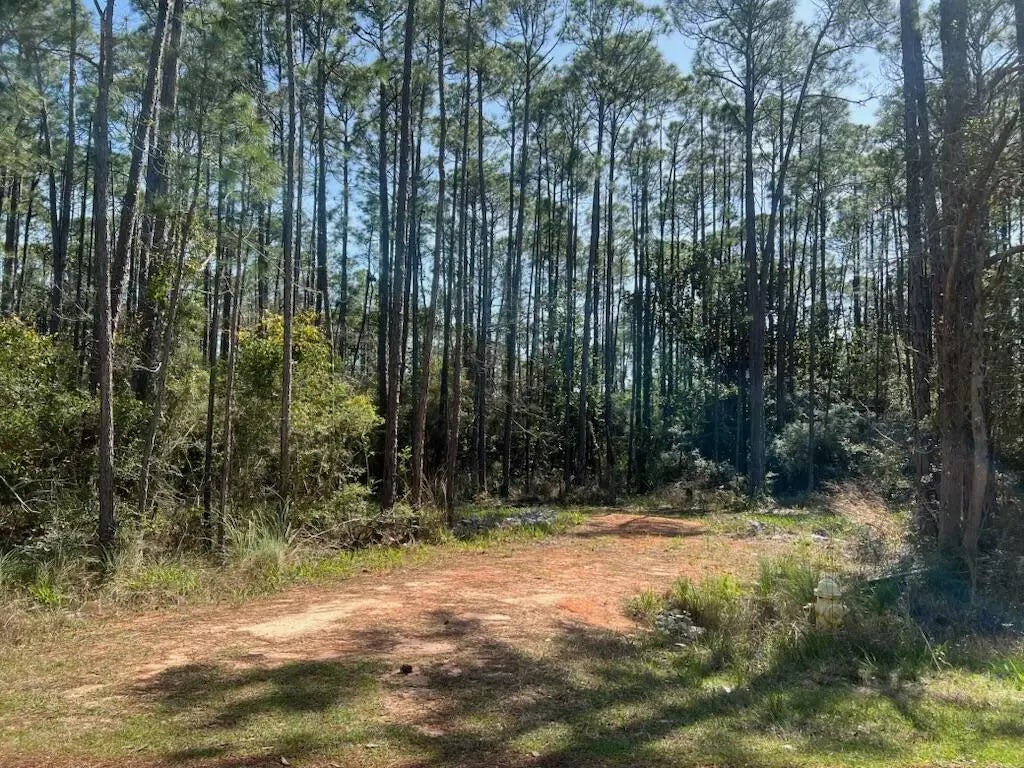 3 of 9 - Lot 4 Whisper Lane, Santa Rosa Beach, FL