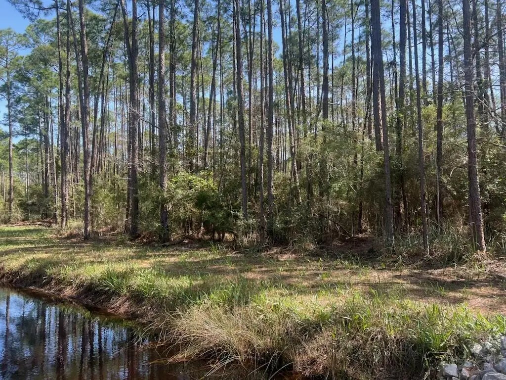 6 of 9 - Lot 4 Whisper Lane, Santa Rosa Beach, FL