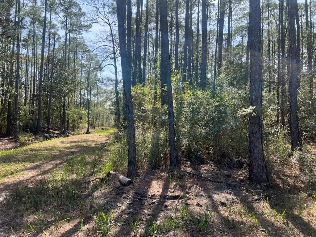 7 of 9 - Lot 4 Whisper Lane, Santa Rosa Beach, FL