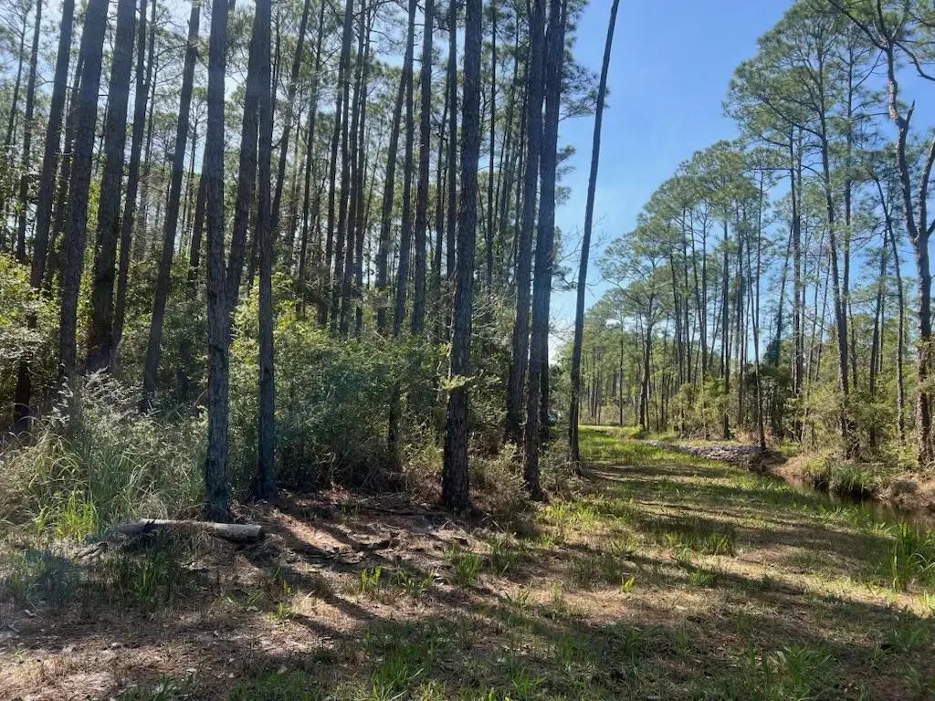 8 of 9 - Lot 4 Whisper Lane, Santa Rosa Beach, FL