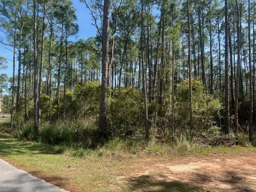 9 of 9 - Lot 4 Whisper Lane, Santa Rosa Beach, FL