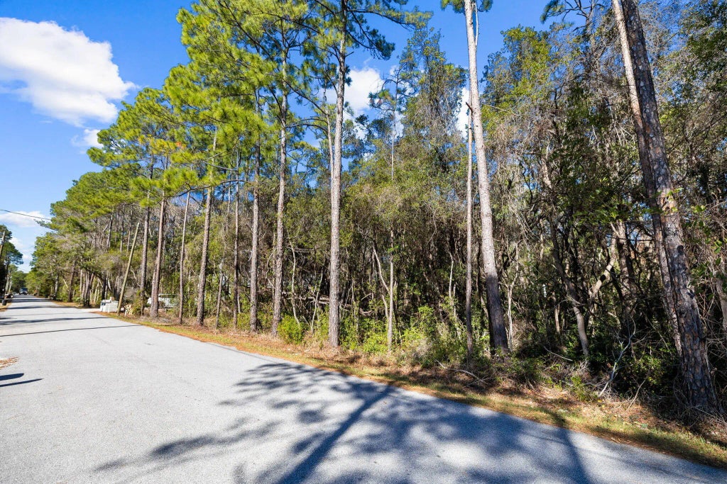 4 of 11 - 25-28 Wild Blueberry Way, Point Washington, FL