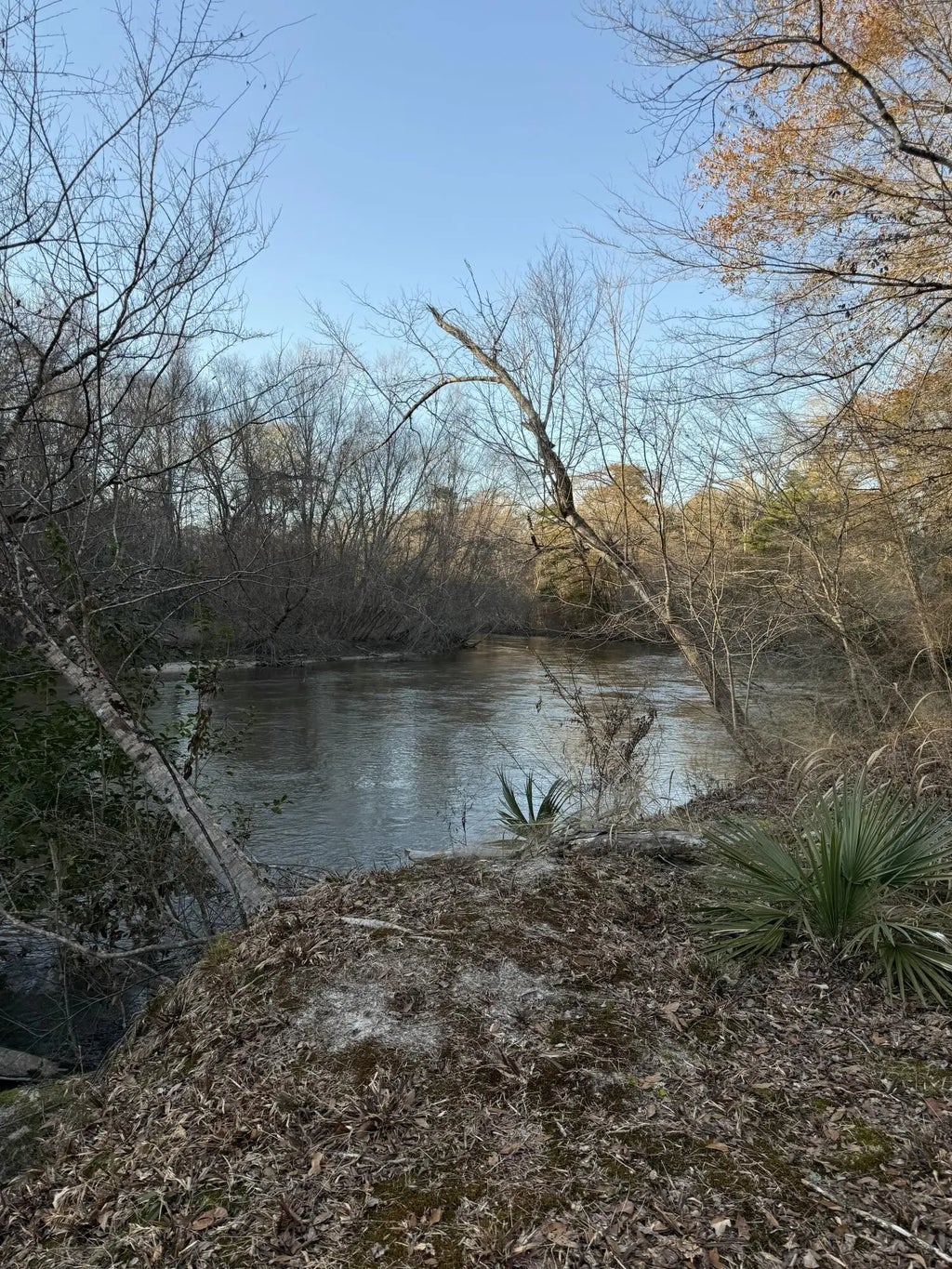 16 of 16 - Tbd 3 Acre River Loop Drive, Crestview, FL