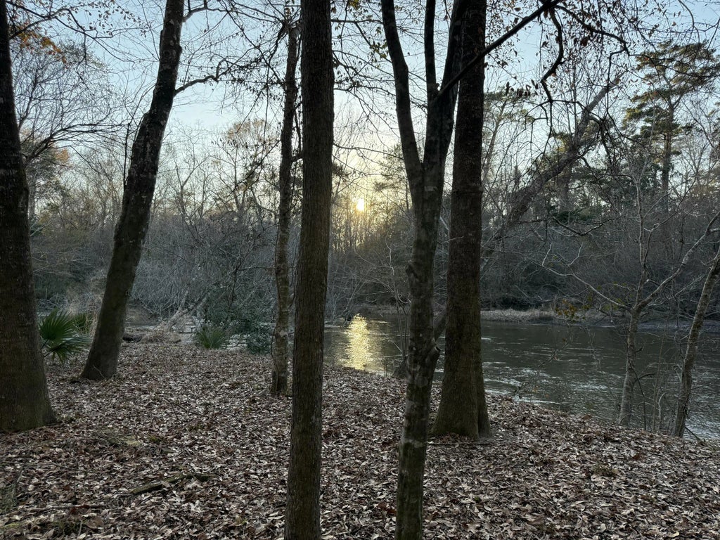 3 of 16 - Tbd 3 Acre River Loop Drive, Crestview, FL