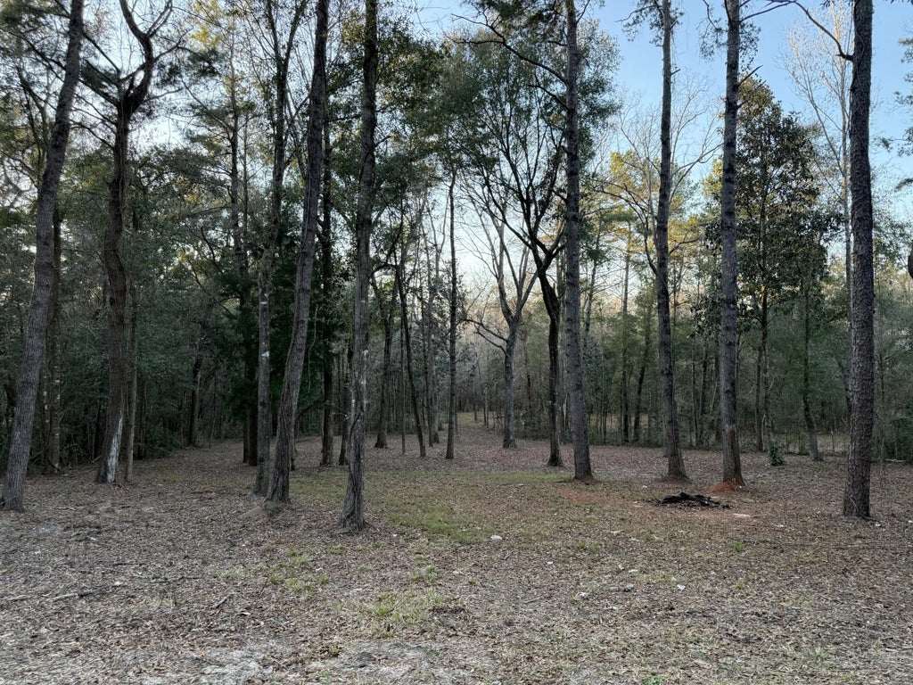 4 of 16 - Tbd 3 Acre River Loop Drive, Crestview, FL